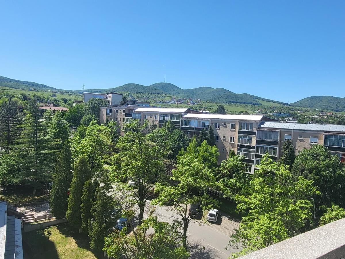 Apartament In Regim Hotelier Deva Dış mekan fotoğraf